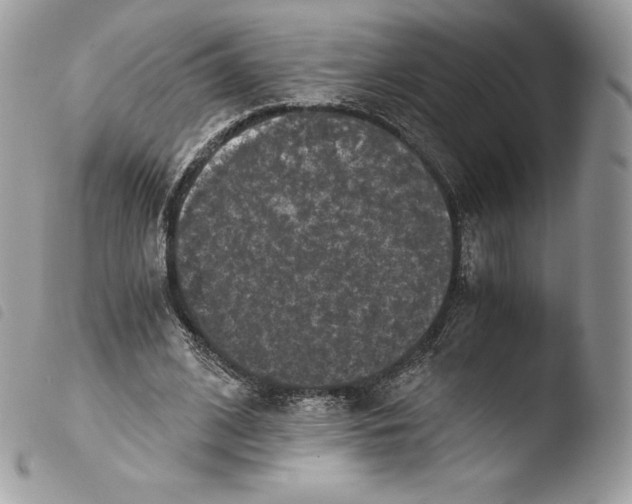 X0000103960584200810171904