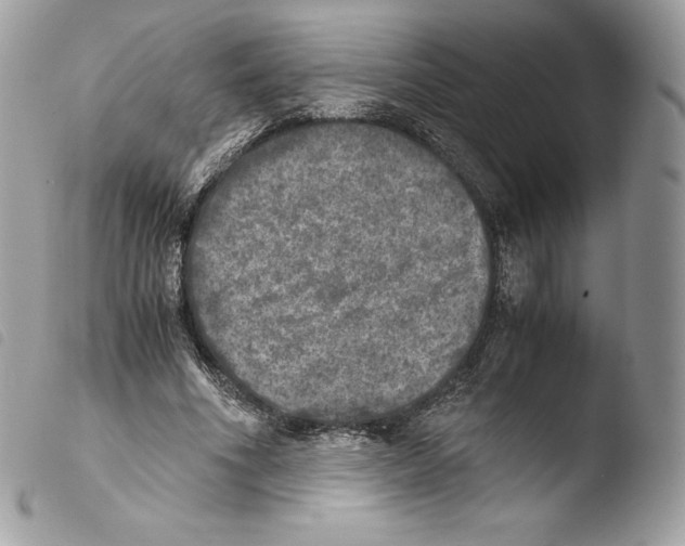 X0000103960586200810171904