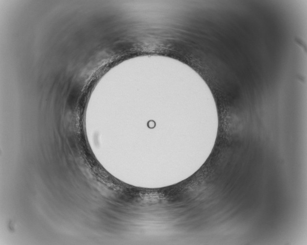 X0000103960587200810171904