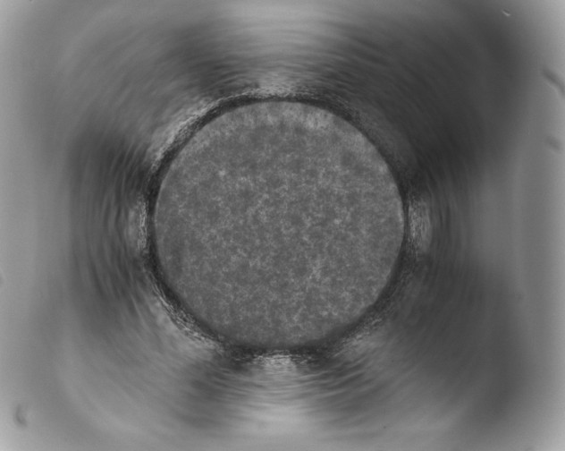 X0000103960588200810171904