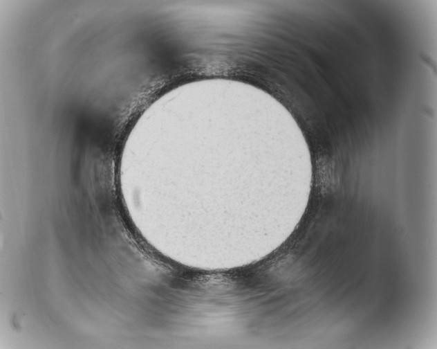 X0000103960589200810171904