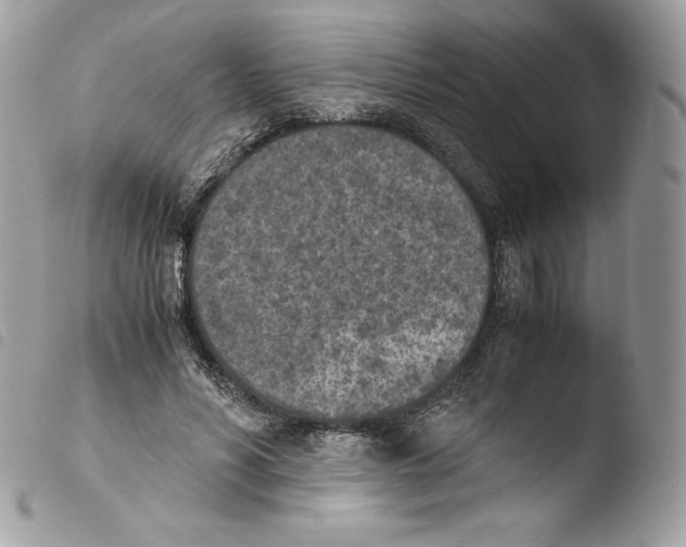 X0000103960590200810171904