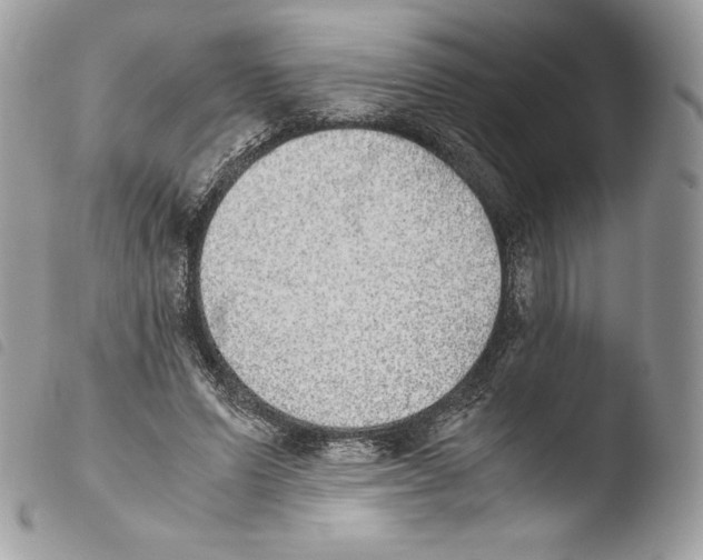 X0000103960591200810171904