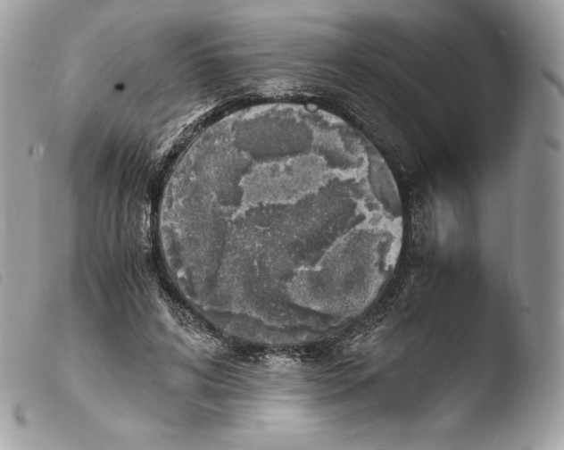 X0000103960592200810171904