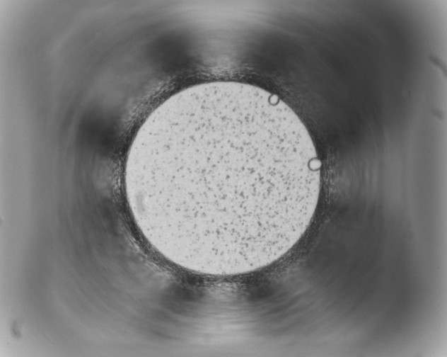 X0000103960593200810171904