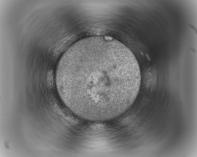 X0000103960594200810171903