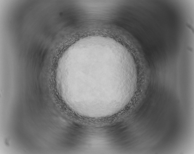 X0000103960595200810171903