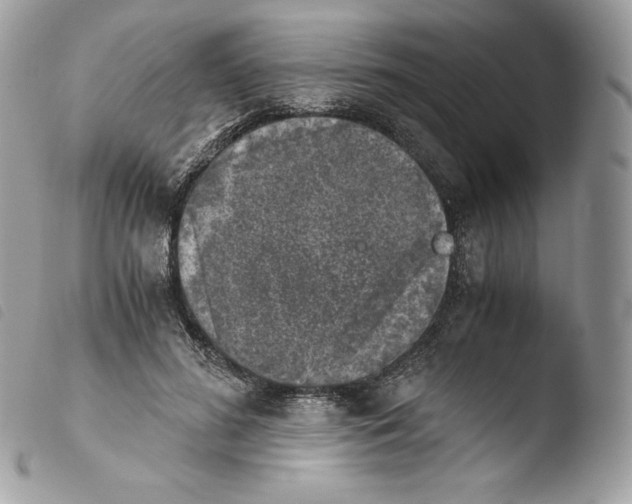 X0000103960596200810171903