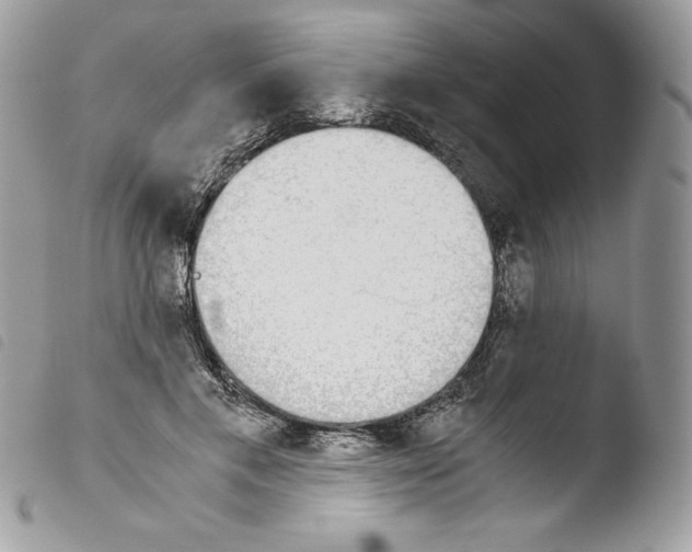 X0000103960597200810171903