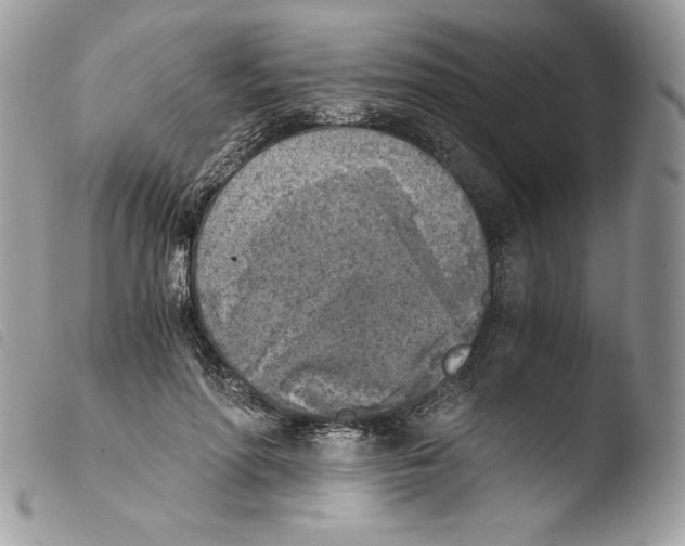 X0000103960598200810171903