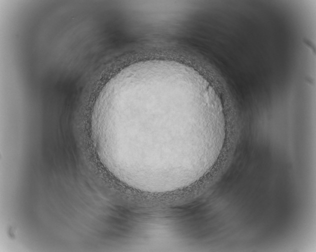 X0000103960599200810171903