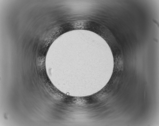 X0000103960601200810171903