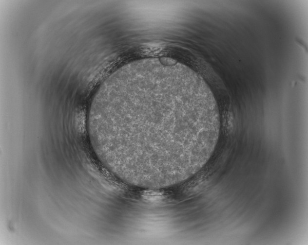 X0000103960602200810171903