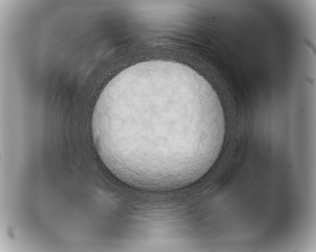 X0000103960603200810171903