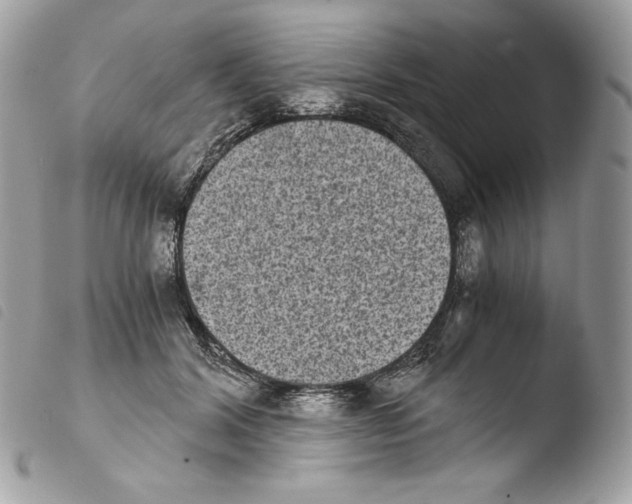 X0000103960604200810171903