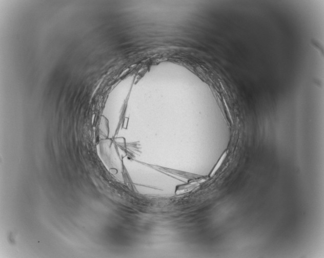 X0000103960605200810171903