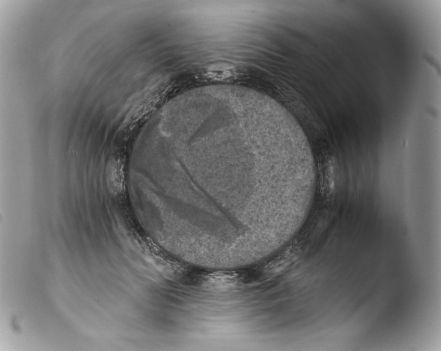 X0000103960606200810171903