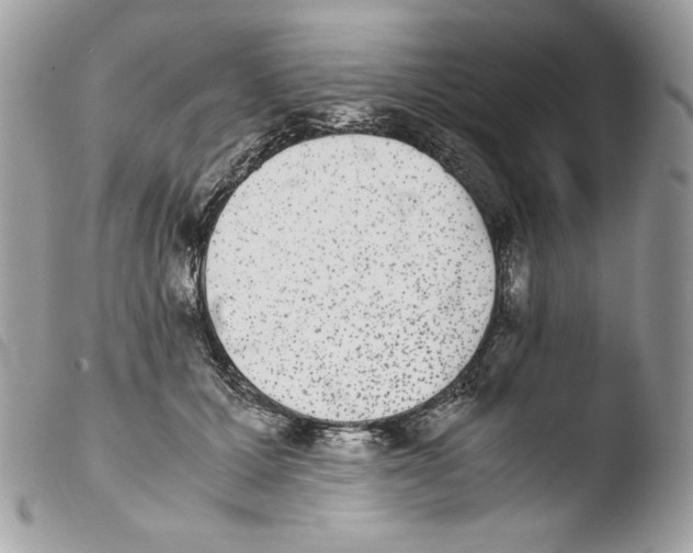 X0000103960607200810171903