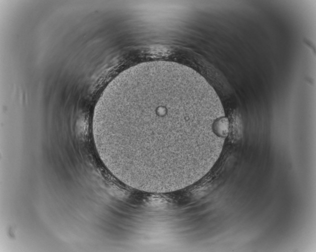 X0000103960608200810171903