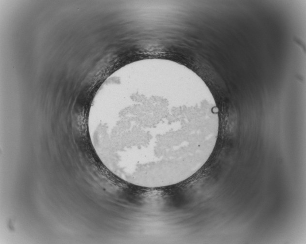 X0000103960609200810171903