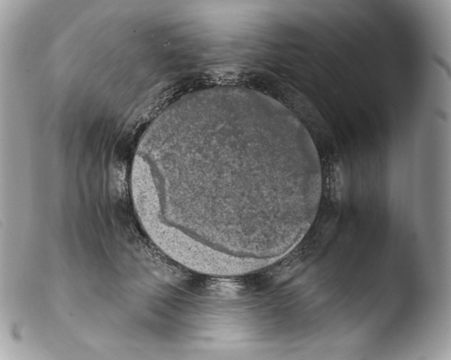 X0000103960610200810171903