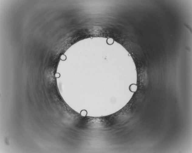 X0000103960611200810171903