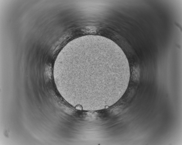 X0000103960612200810171903