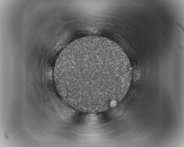 X0000103960613200810171903