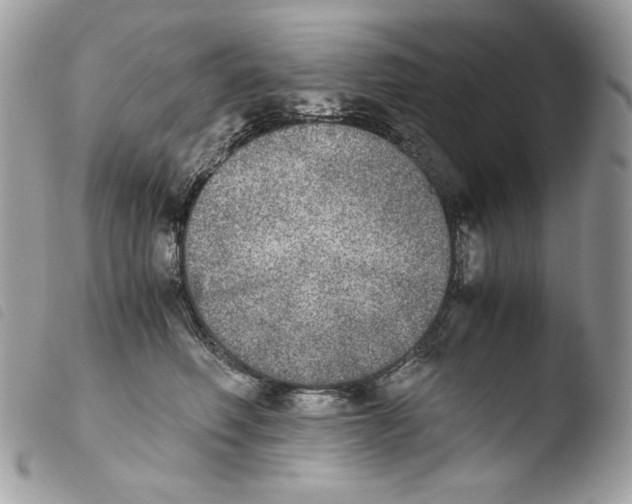 X0000103960614200810171903