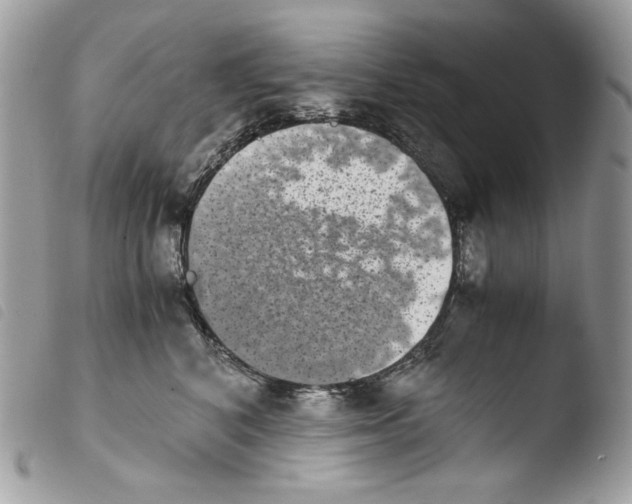 X0000103960616200810171903