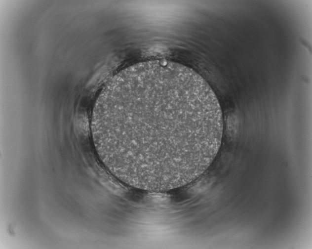 X0000103960617200810171903