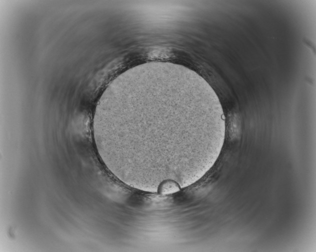 X0000103960619200810171903