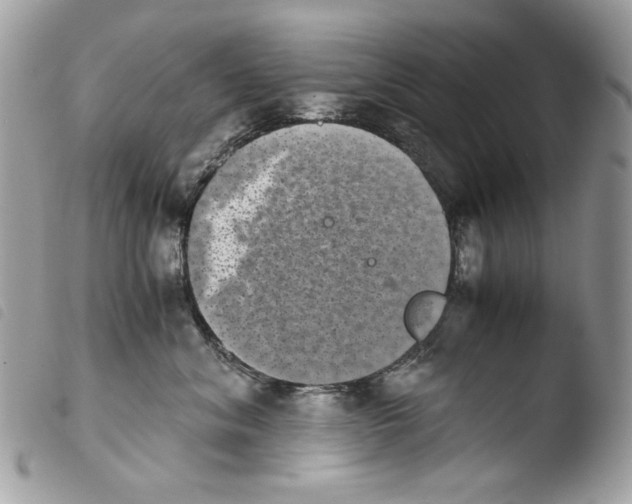 X0000103960620200810171903