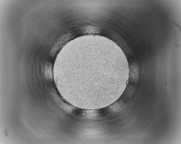 X0000103960622200810171903