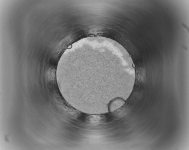 X0000103960623200810171903