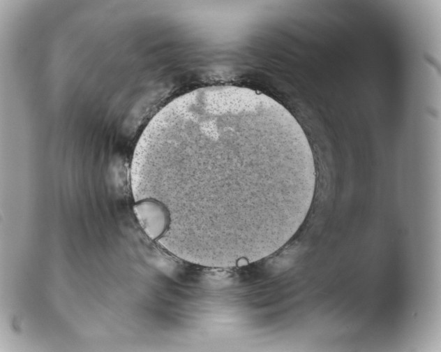 X0000103960624200810171903