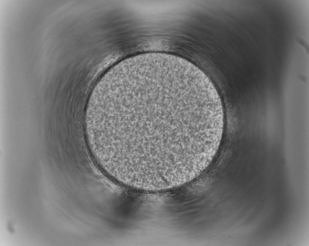 X0000103960625200810171902