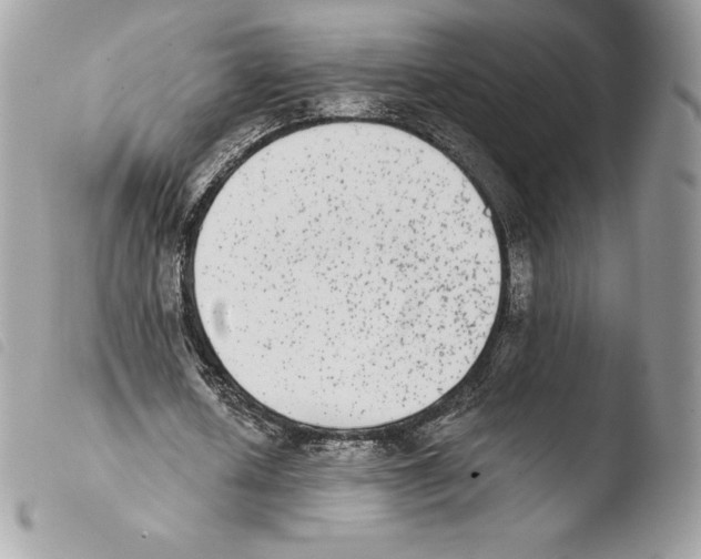 X0000103960626200810171902