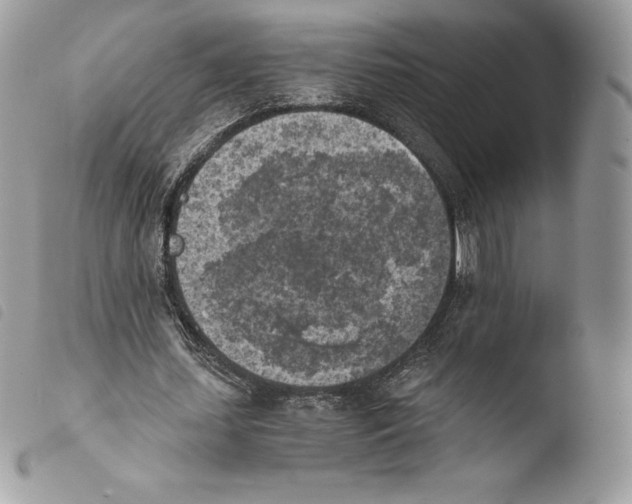 X0000103960627200810171902