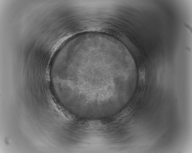 X0000103960628200810171902