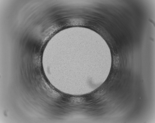 X0000103960629200810171902