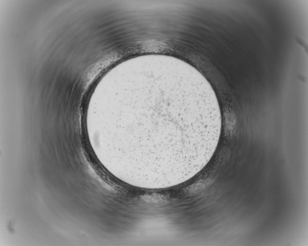 X0000103960630200810171902