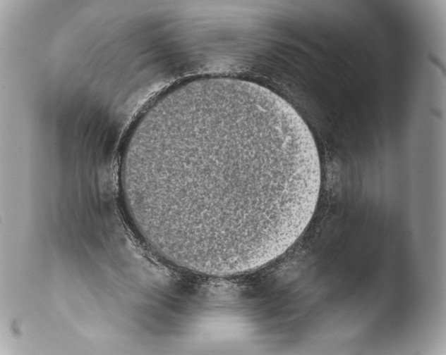 X0000103960632200810171903