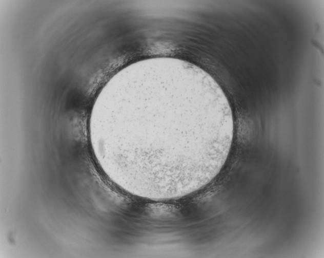 X0000103960633200810171903