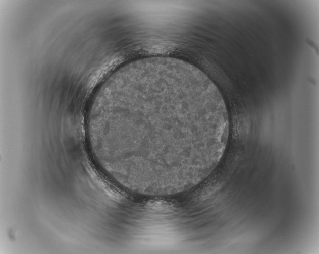 X0000103960634200810171903