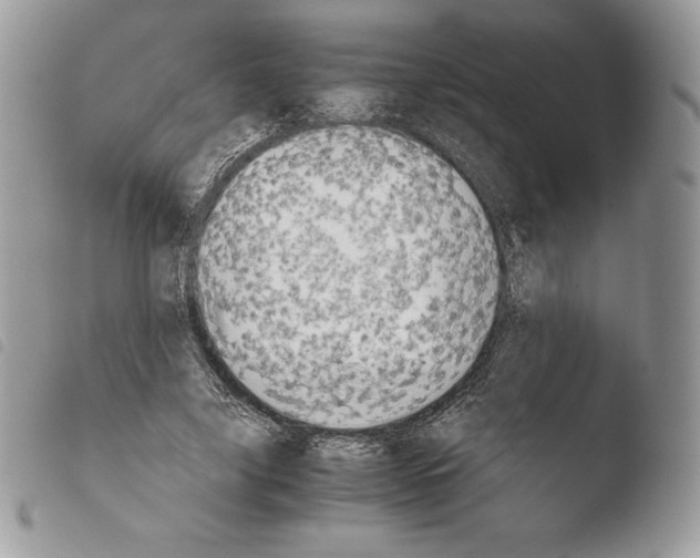 X0000103960635200810171903