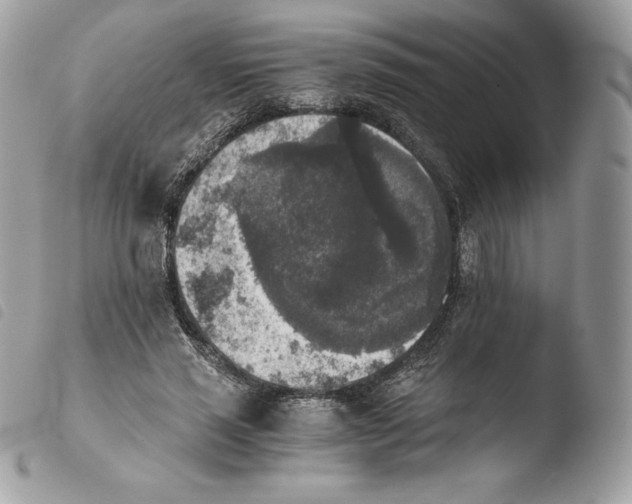 X0000103960637200810171903