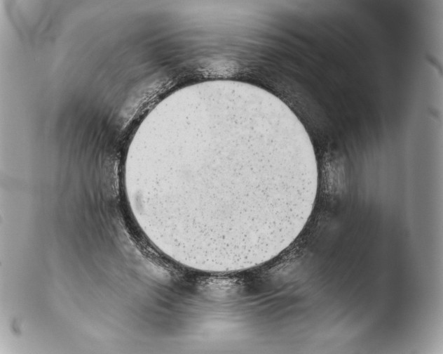 X0000103960638200810171903