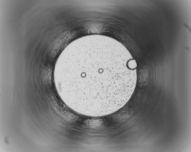 X0000103960639200810171903