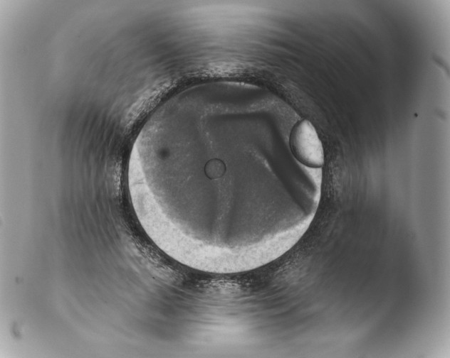 X0000103960640200810171903